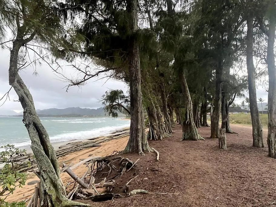 Ideal Coconut Coast Condo Kapa'a Verenigde Staten