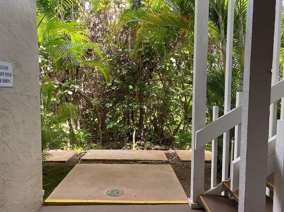 Ideal Coconut Coast Condo Kapa'a