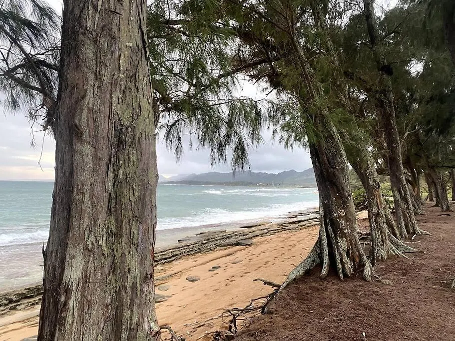 Ideal Coconut Coast Condo Kapa'a Lägenhet